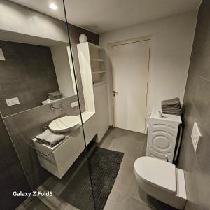 圣杰内肖阿泰西诺Sonnenparadies的一间带卫生间和水槽的浴室