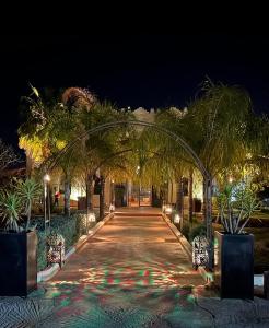 Aïn Cheggag卡萨尔德菲斯酒店的一条棕榈树和灯光的夜间步道
