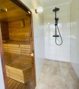 DankovciLuxury Holiday House BREJZOV BREJG的带淋浴和浴缸的浴室