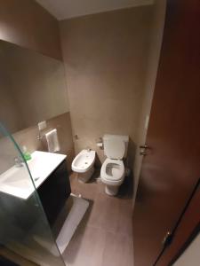拉普拉塔Hermoso Departamento Unico的一间带卫生间和水槽的浴室