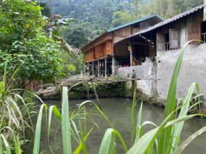 河江Bikki jungle homestay的河上桥梁的房子