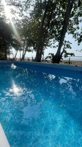 雅科Pura Vida Macaw Paradise的一座绿树成荫的蓝色游泳池