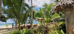 NauhangSulu Sunset Beach Resort的海滩上设有桌椅和棕榈树
