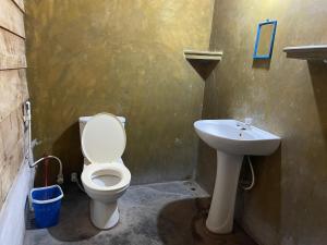 卡尔皮蒂耶araliya villa的一间带卫生间和水槽的浴室