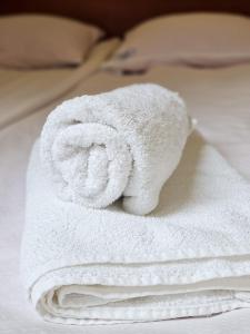 库多瓦-兹德鲁伊Willa Sanssouci的床上的白色毛巾堆