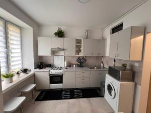 斯卡日斯科-卡缅纳Apartament Paprotka的厨房配有白色橱柜和炉灶烤箱。