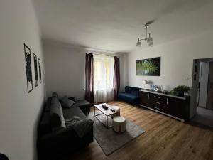 斯卡日斯科-卡缅纳Apartament Paprotka的客厅配有沙发和桌子