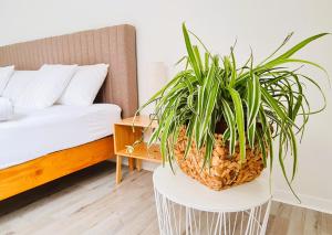 曼兴Apartment Nähe Airbus的卧室白色桌子上的植物