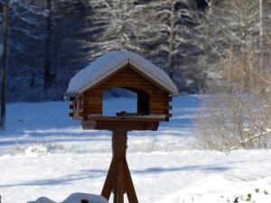 福尔巴赫Haus Gisela的木屋,上面有雪