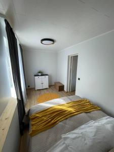 瓦尔加Korter asukohaga Valga Linn的一间卧室配有一张黄色毯子床