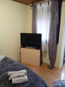 BelišćeKrpan的一间卧室配有一张床和一台平面电视