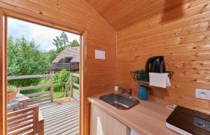 Obersteinbach阿尔萨斯村酒店的小屋内的厨房设有水槽和窗户