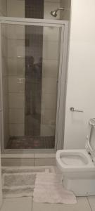 温特和克One bedroom self-catering apartment at CITY JUNCTION的带淋浴和卫生间的浴室