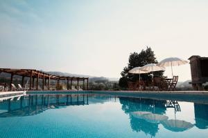 阿马里什Quinta do Burgo - Nature Hotel的游泳池的顶部设有椅子和遮阳伞
