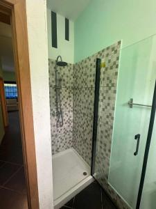 Ribeira da JanelaA Escapadinha的带淋浴的浴室和玻璃门