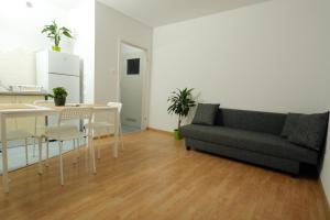奥普尔Apartament Słoneczny 7的客厅配有沙发和桌子