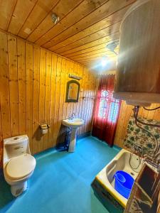 斯利那加Pasadona Floating Houseboat的一间带卫生间和水槽的浴室