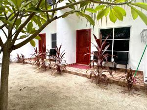 图杜Thoddoo Island Life的前面有植物的房子