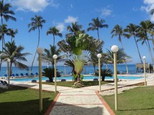 璜多里奥Appartamento Martinic Juan Dolio fronte mare的拥有游泳池、棕榈树和海洋的度假胜地