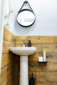 阿拉木图Evergreen Hostel的浴室设有水槽和墙上的镜子