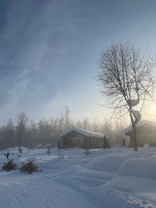 美瑛町Chill Village的一座有房子和树的雪地覆盖的院子
