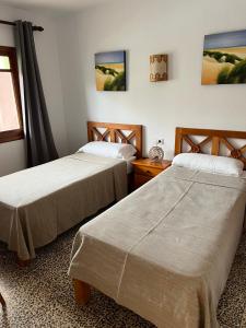 伊斯费古耶拉尔海滩Apartamentos Colomar的两张床位于带窗户的房间内
