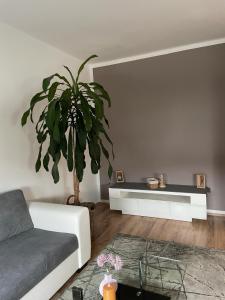 赛尔斯贝格Seiersberg的带沙发和植物的客厅