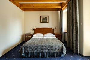 扎科帕内Hotel Belvedere Resort&SPA的一间卧室配有带2个枕头的床