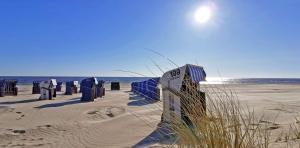 卡尔斯哈根Ferienapartment Wellenreiter Insel Usedom的沙滩上有许多垃圾箱