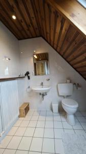 黑克Bed and Breakfast Am Schwatten Berg的一间带卫生间和水槽的浴室