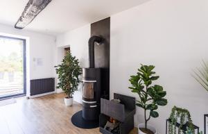 圣梅卢瓦代翁德Villa Touesse - Maison de charme/jardin - 8 pers的客厅设有壁炉和植物