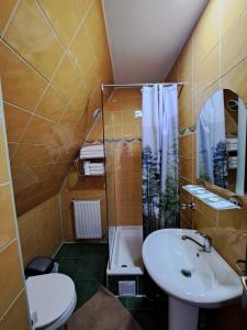 比卡兹Hotel Pescarus Port Bicaz的一间带水槽、卫生间和淋浴的浴室