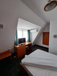 比卡兹Hotel Pescarus Port Bicaz的一间卧室配有一张床和一张带电脑的书桌