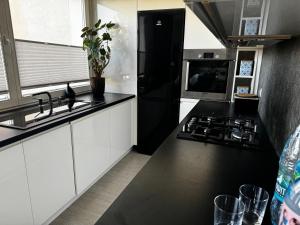 海乌姆Studio Centrum 2的厨房配有黑色冰箱和炉灶。