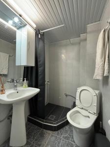 尼坡帝Jimmy's rooms nea potidea的一间带水槽、卫生间和淋浴的浴室