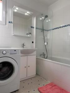 克劳德Jeux Olympique au Cœur de Paris的一间带洗衣机和水槽的浴室