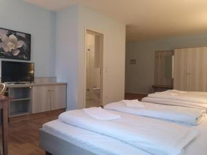 柏林阿尔特市场酒店的酒店客房设有三张床和电视。