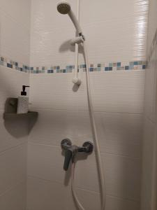 雷恩Appartement Rennes stade的浴室内配有淋浴和头顶淋浴