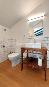 蓬塔德尔加达THE HOLY COW - Hostel & Suites的一间带水槽、卫生间和镜子的浴室