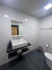 拉斯杜Rasdu View Inn的一间带水槽、镜子和卫生间的浴室