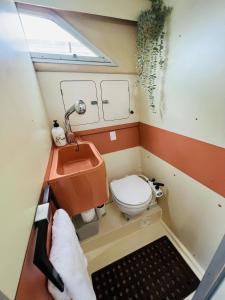 巴塞罗那Cosy and Homey Houseboat Castelldefels的一间带卫生间和水槽的小浴室