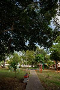坎昆Casa Playa Hermosa的树下两长椅的公园