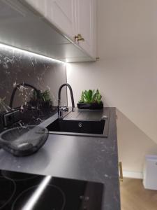 希奥利艾Old street apartment的厨房配有水槽和黑色台面
