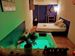 芒通Studio cosy, grand spa privatif et parking privée Centre ville menton的小房间设有床和游泳池