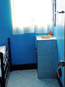莫约加尔帕Hostal Siero的蓝色的浴室设有水槽和窗户
