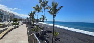 波多·纳奥斯Apartamento Sol y Playa Puerto Naos的棕榈树海滩和海洋