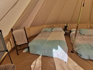德兰赫勒#4 1913的帐篷内的两张床和椅子