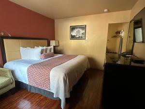 乌雷乌雷马特汽车旅馆的一间酒店客房,房内配有一张大床