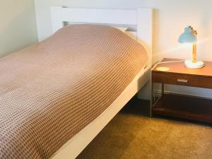 奥克兰海滩山林小屋公寓的小型客房的一张床位,设有床头柜