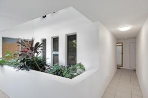 玛志洛银海第六度假村公寓的走廊上设有白色的墙壁和植物